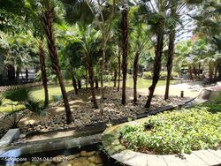 The Minton (D19), Condominium #588176631